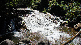 dsc00015_thumb.jpg