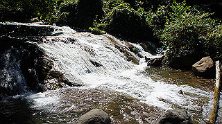 dsc00017_thumb.jpg