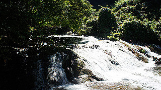 dsc00018_thumb.jpg