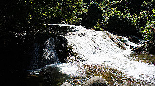 dsc00019_thumb.jpg