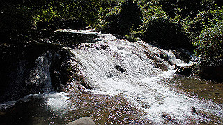 dsc00020_thumb.jpg