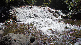 dsc00021_thumb.jpg