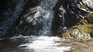 dsc00023_thumb.jpg