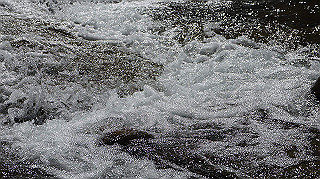 dsc00024_thumb.jpg