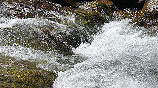 dsc00025_thumb.jpg