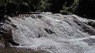 dsc00026_thumb.jpg