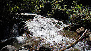 dsc00027_thumb.jpg