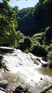 dsc00028_thumb.jpg