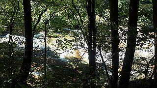 dsc00029_thumb.jpg