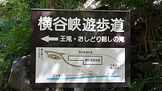 dsc00030_thumb.jpg