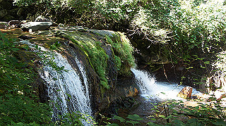 dsc00038_thumb.jpg