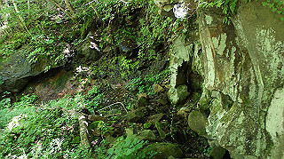 dsc00040_thumb.jpg