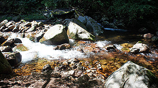 dsc00043_thumb.jpg