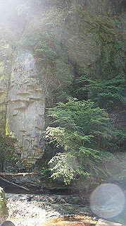 dsc00046_thumb.jpg