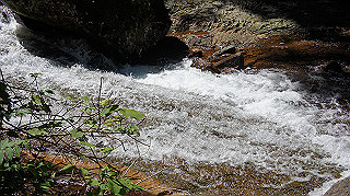 dsc00047_thumb.jpg
