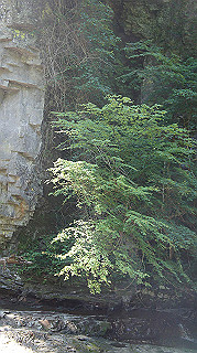 dsc00049_thumb.jpg
