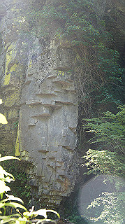 dsc00050_thumb.jpg