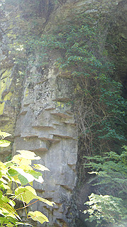 dsc00051_thumb.jpg