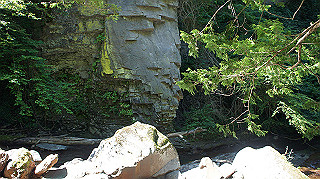 dsc00053_thumb.jpg
