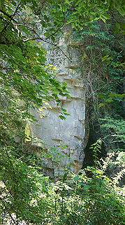 dsc00054_thumb.jpg