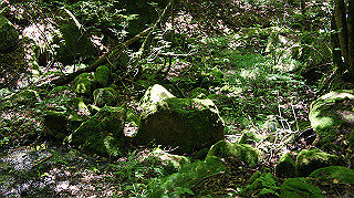 dsc00055_thumb.jpg
