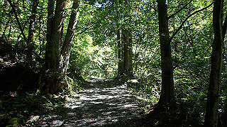 dsc00056_thumb.jpg