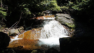 dsc00057_thumb.jpg