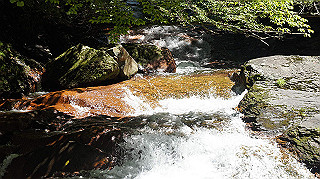 dsc00060_thumb.jpg