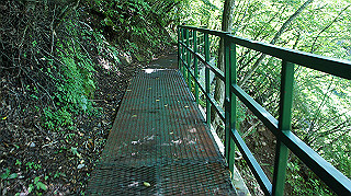 dsc00065_thumb.jpg