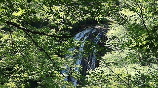 dsc00066_thumb.jpg