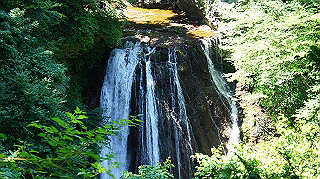 dsc00073_thumb.jpg