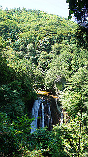 dsc00074_thumb.jpg