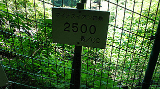 dsc00078_thumb.jpg