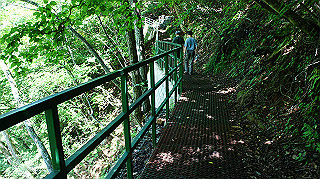 dsc00082_thumb.jpg