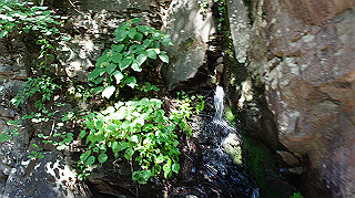dsc00085_thumb.jpg