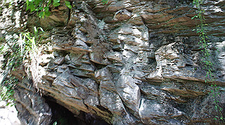 dsc00086_thumb.jpg