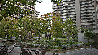 dsc00015_thumb.jpg