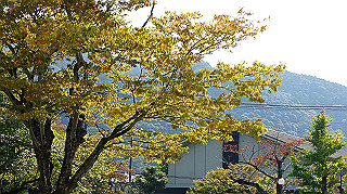 dsc00007_thumb.jpg
