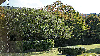 dsc00017_thumb.jpg