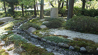 dsc00019_thumb.jpg
