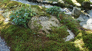 dsc00021_thumb.jpg