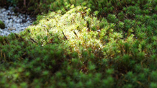 dsc00023_thumb.jpg