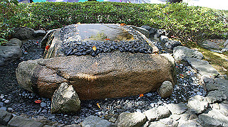 dsc00028_thumb.jpg