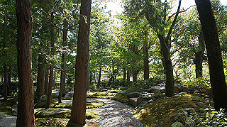 dsc00032_thumb.jpg