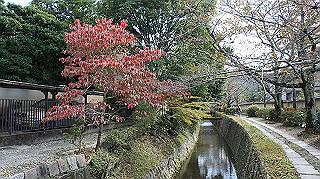 dsc00034_thumb.jpg