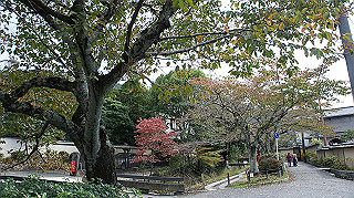 dsc00035_thumb.jpg