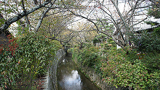 dsc00036_thumb.jpg