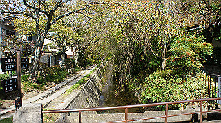 dsc00041_thumb.jpg