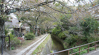 dsc00042_thumb.jpg