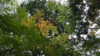 dsc00045_thumb.jpg